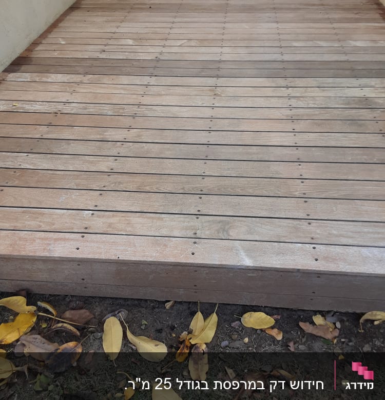 דק עץ עם עלים יבשים וכלי צביעה